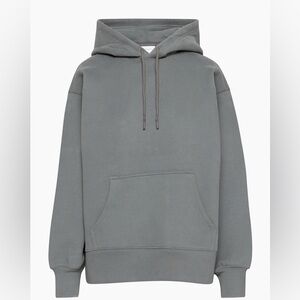 Aritzia Cozy Fleece Boyfriend Hoodie